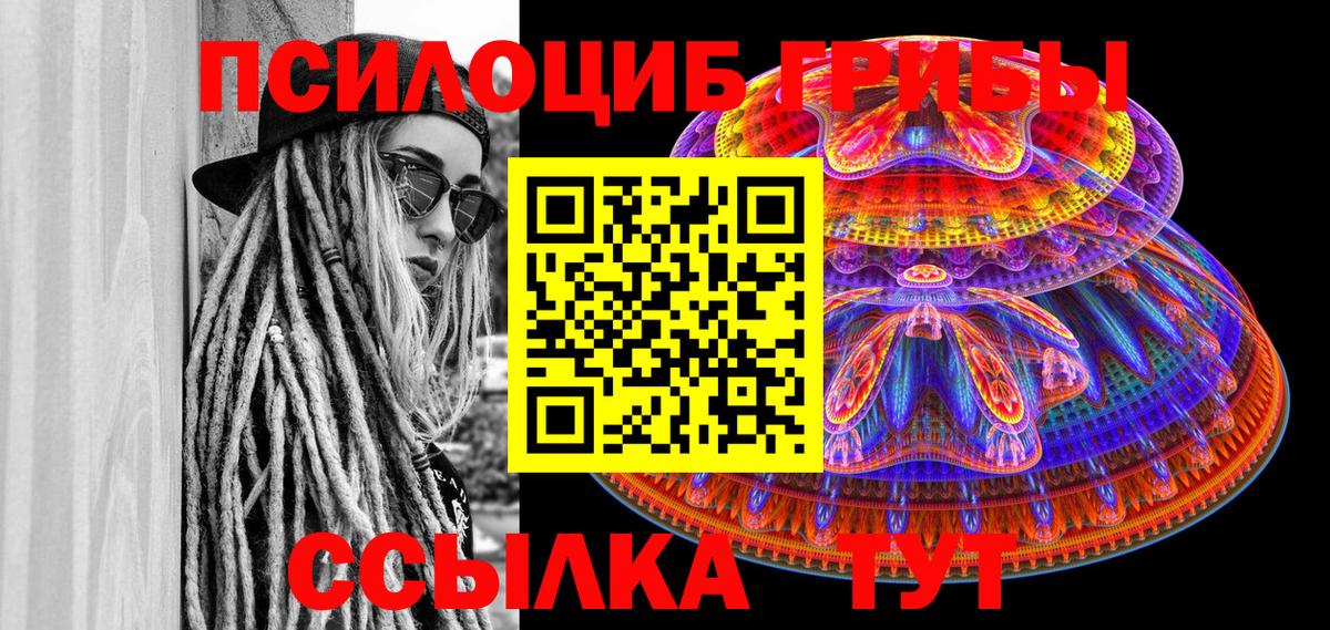 Псилоцибиновые грибы мицелий  продажа наркотиков  Великий Новгород  Вход с VPN  Галлюциногенные грибы прущие грибы 