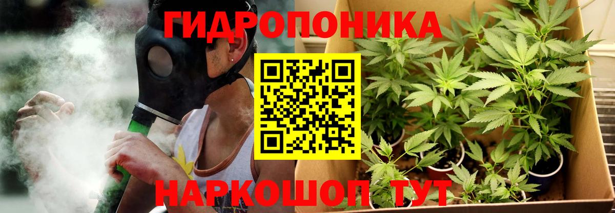 Бошки марихуана гибрид Великий Новгород